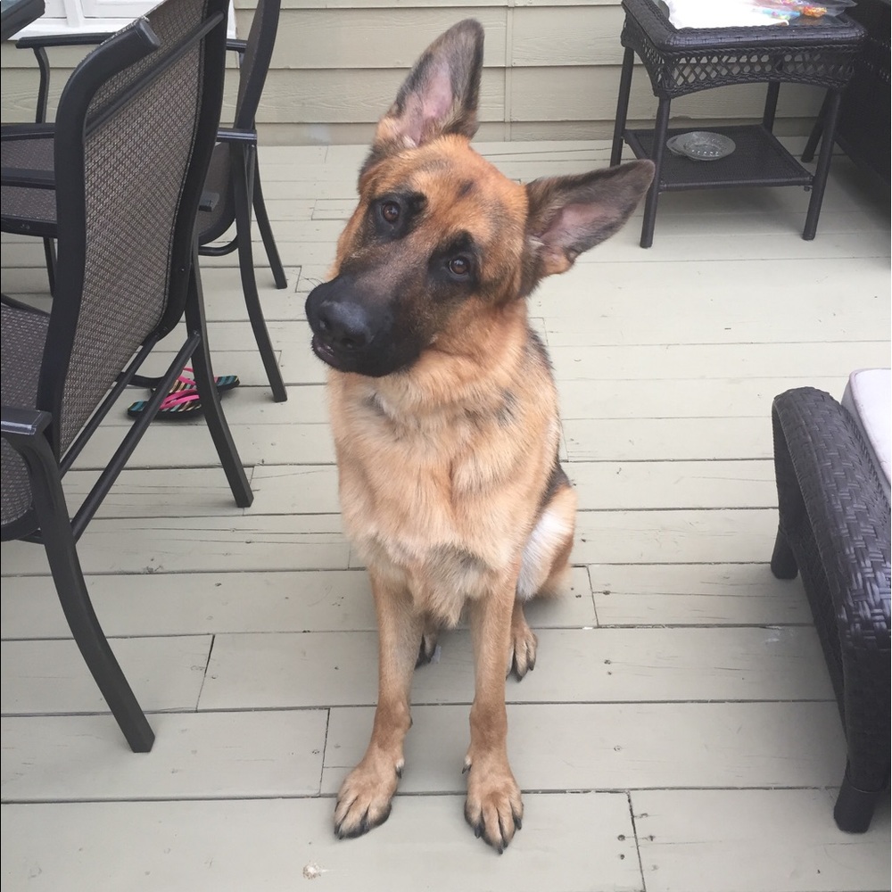 Meet your Posher, Laura