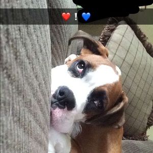 Meet your Posher, Taylor