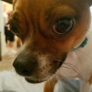 Meet your Posher, Erica