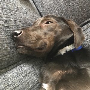 Meet your Posher, Michaela