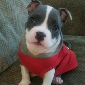 Meet your Posher, Ciara