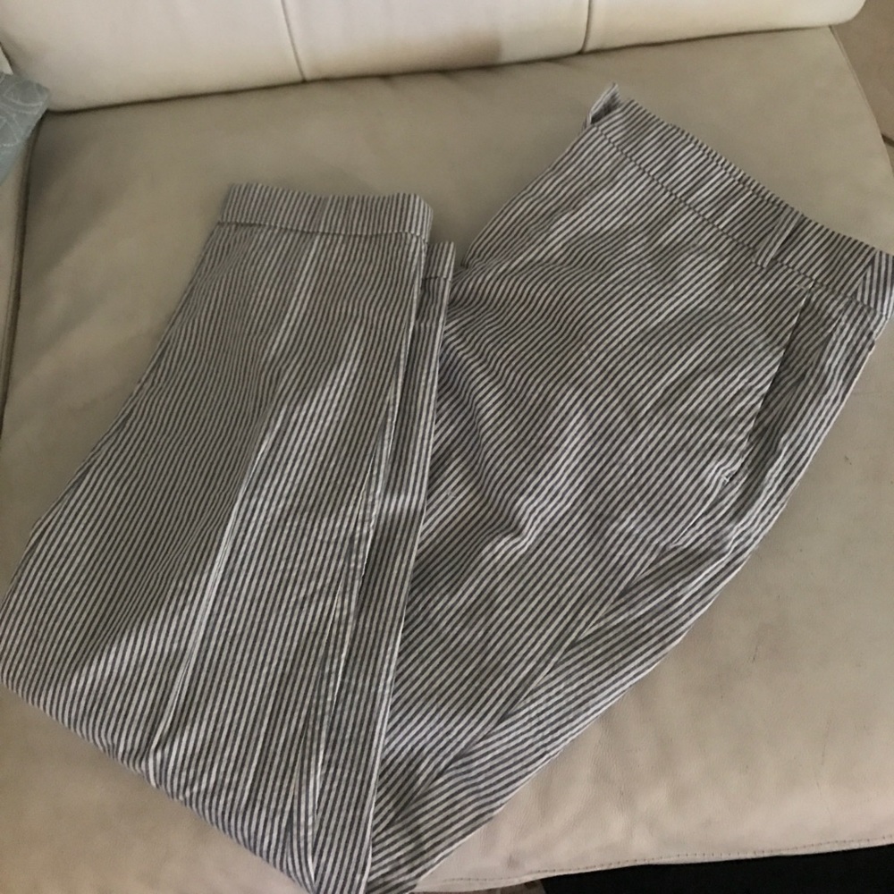 Zara pants
