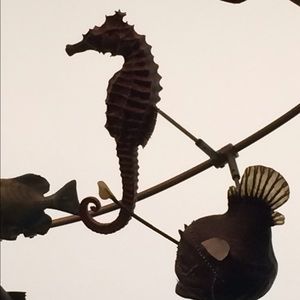 Meet your Posher, Rania