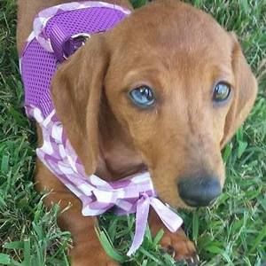 Meet your Posher, Kimmie