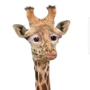 Meet your Posher, Kristin