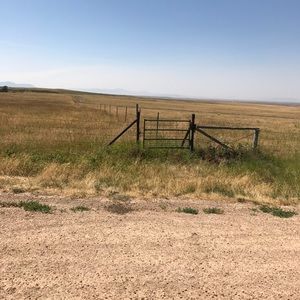 Meet your Posher, Bertha