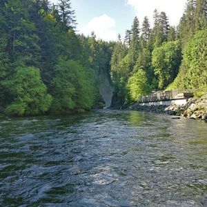 Meet your Posher, Henry