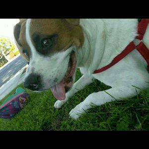 Meet your Posher, Mary