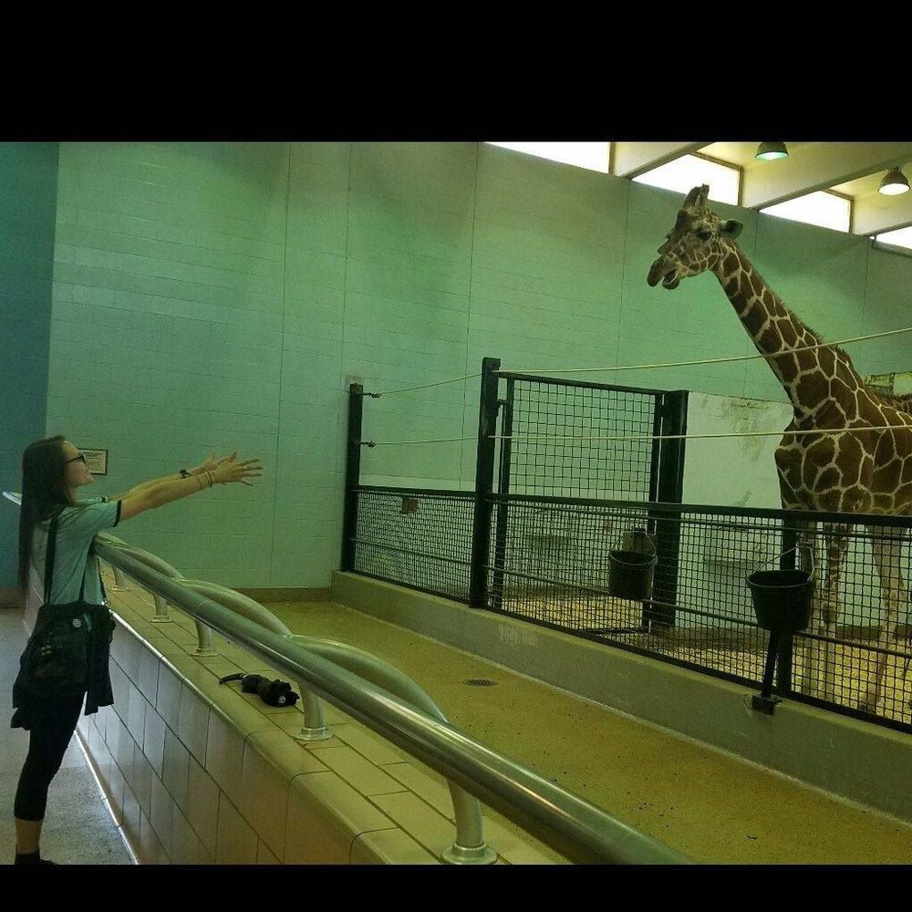 Meet your Posher, Brittany