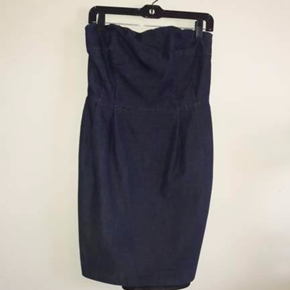 Express Denim Dress