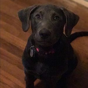 Meet your Posher, Megan