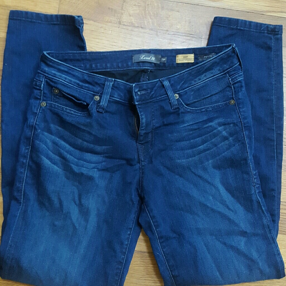 Level 99 anthropologie skinny jeans!