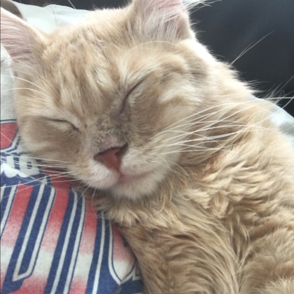 Meet your Posher, Summrt