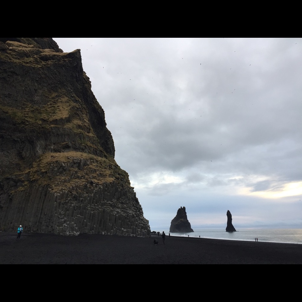 Meet your Posher, Darci