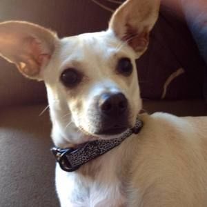 Meet your Posher, Sandy