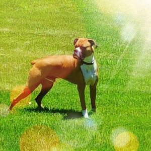 Meet your Posher, Steven