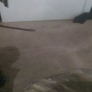 Meet your Posher, Derrick