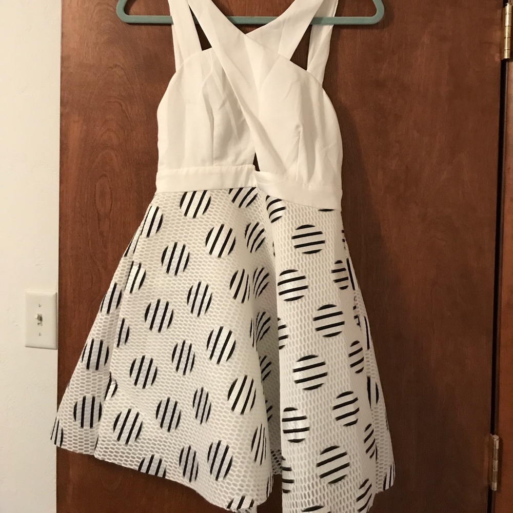 Mustard Seed Polka Dot Fit and Flare Dress