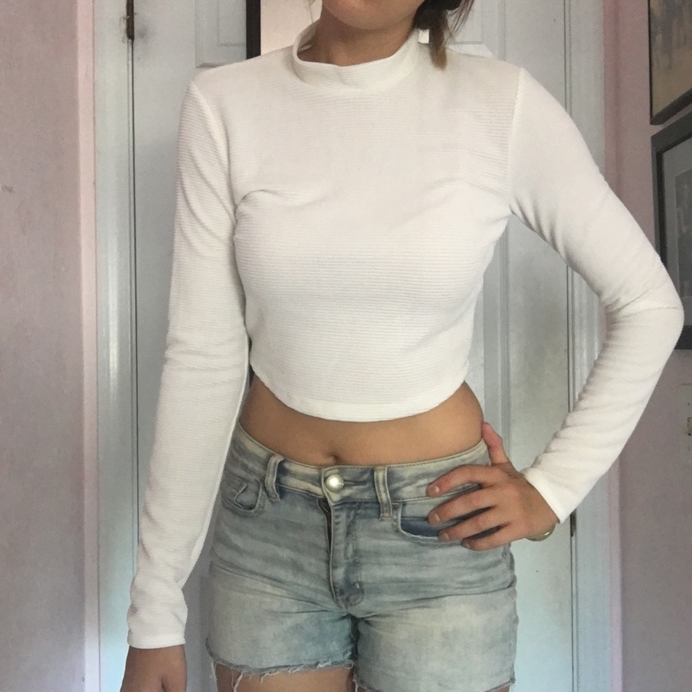 Crop Turtle Neck