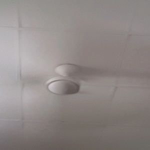 Meet your Posher, Argentina