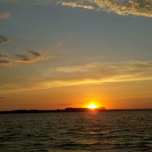 Meet your Posher, Elana