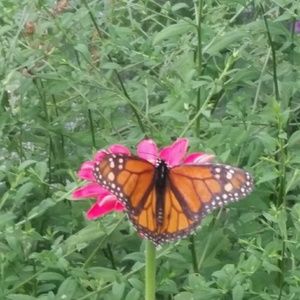 Meet your Posher, Sandra