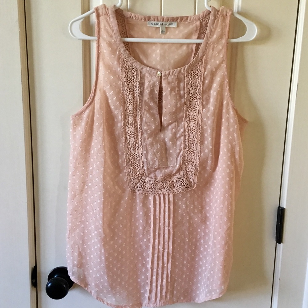 Daniel Rainn Sleeveless Blush Sheer Crochet Top M