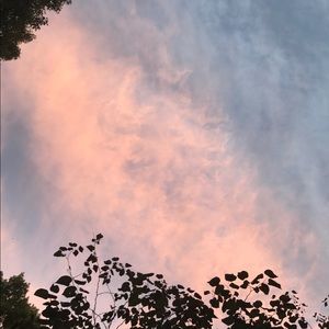 Meet your Posher, Maddison