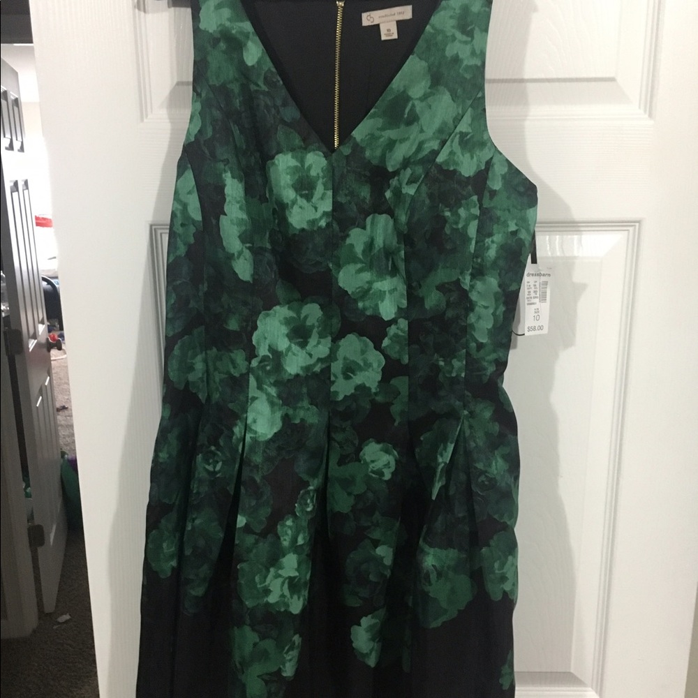 NWT dress barn dress