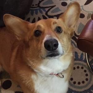 Meet your Posher, Jackson