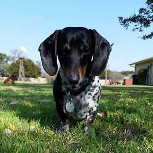 Meet your Posher, John