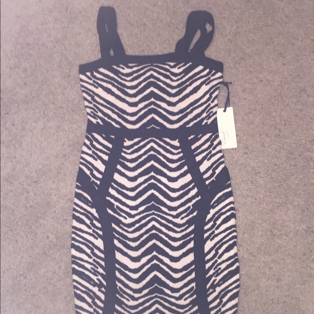 Zebra dress