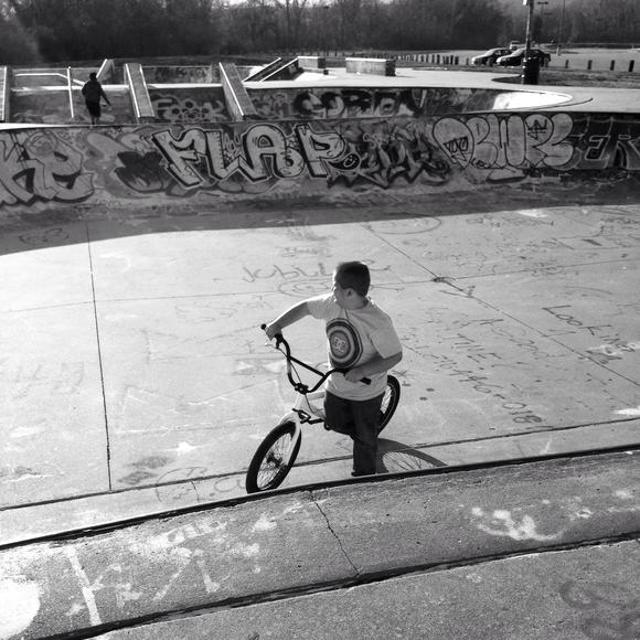 Meet your Posher, Lex - Picture 1 of 1