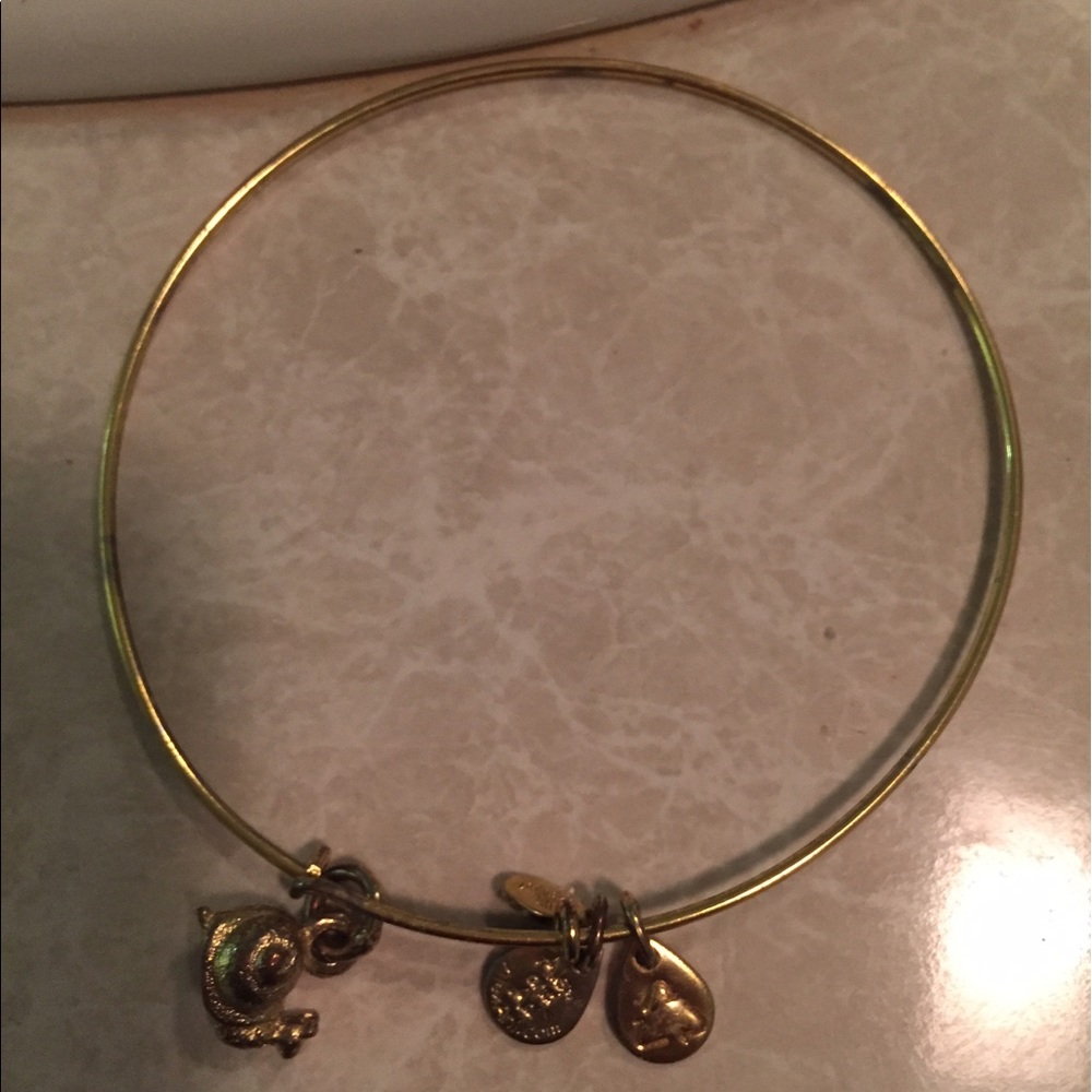 Patience Alex and Ani bracelet