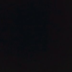 Meet your Posher, Jackson