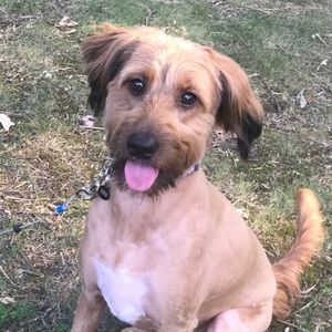 Meet your Posher, Mario