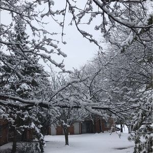 Meet your Posher, Supriya