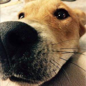 Meet your Posher, Monica