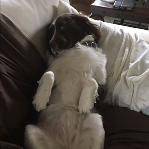 Meet your Posher, Michael