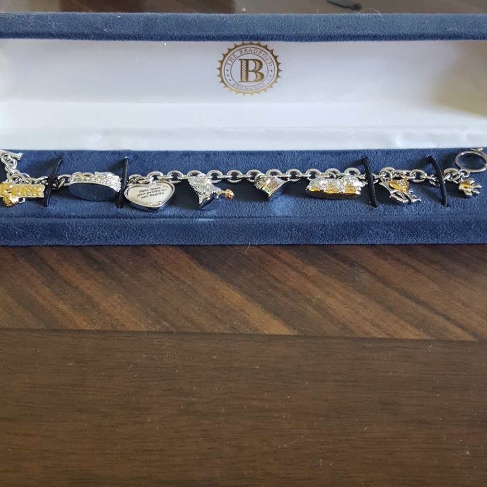 Charm bracelet