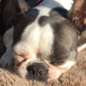 Meet your Posher, Katrina