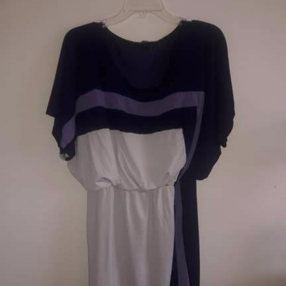 Plus Size Women's Dress