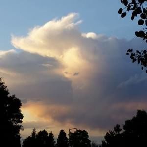 Meet your Posher, Annette