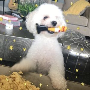 Meet your Posher, Carly