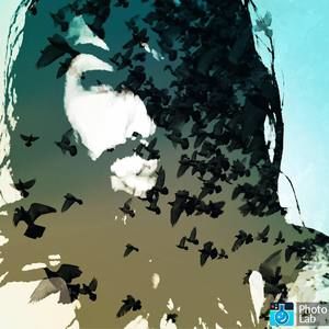 Meet your Posher, Beni