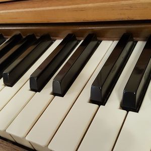 Meet your Posher, Dinah