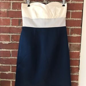 Robin X Robin Strapless Dress