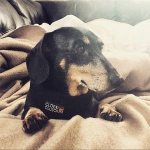 Meet your Posher, Barbara