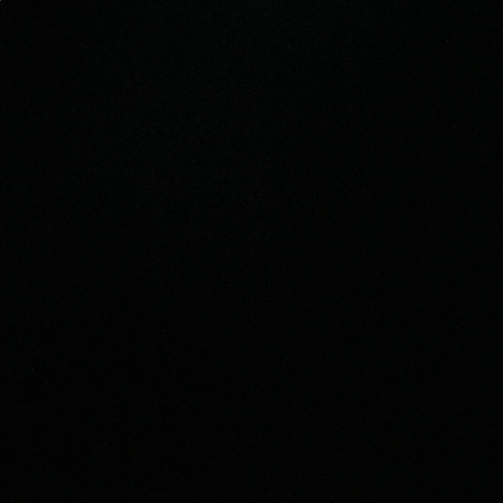 Meet your Posher, Joey