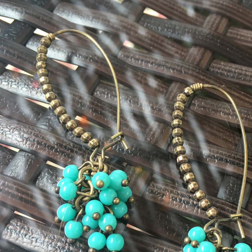 Premier design earrings